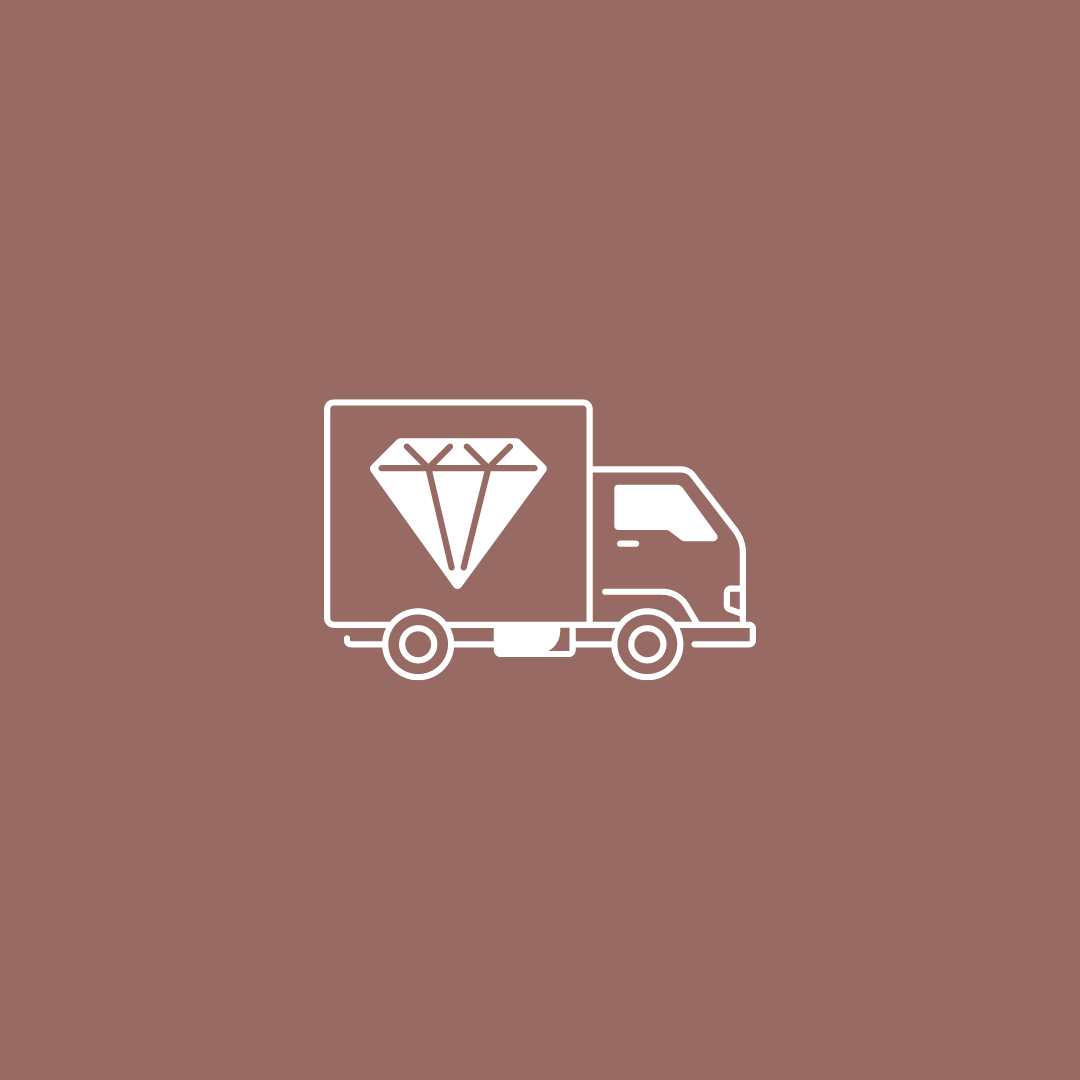 fast delivery icon